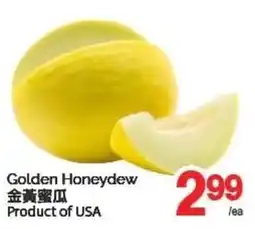 T&T Supermarket Golden Honeydew offer