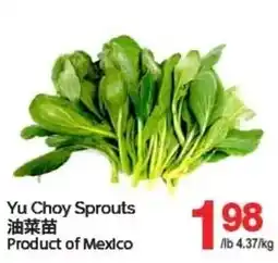 T&T Supermarket Yu Choy Sprouts offer