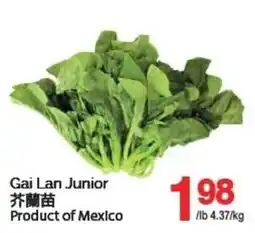 T&T Supermarket Gai Lan Junior offer