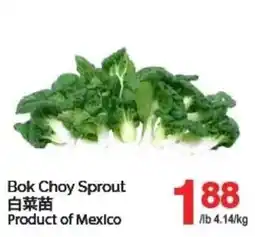 T&T Supermarket Bok Choy Sprout offer