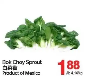T&T Supermarket Bok Choy Sprout offer