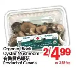 T&T Supermarket Organic Black Oyster Mushroom offer