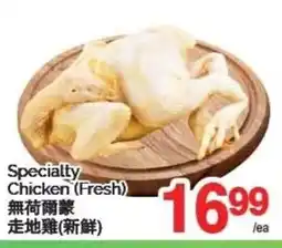 T&T Supermarket Specialty Chicken offer