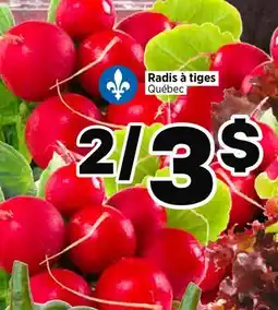Val-Mont Radis à tiges offer