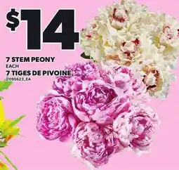 Independent Grocer 7 STEM PEONY offer