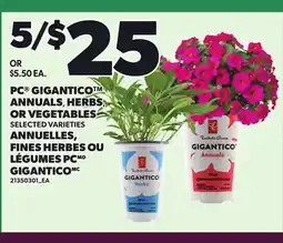 Independent Grocer PC GIGANTICO ANNUALS, HERBS OR VEGETABLES offer