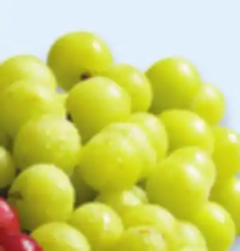 Walmart Green seedless grapes offer