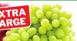 Food Basics GREEN OR RED SEEDLESS GRAPES offer