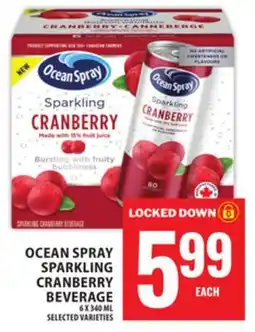Food Basics OCEAN SPRAY SPARKLING CRANBERRY BEVERAGE offer