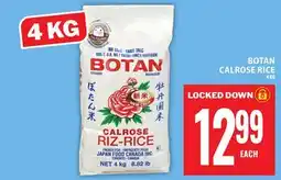 Food Basics BOTAN CALROSE RICE offer