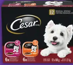 Food Basics CESAR DOG FOOD offer