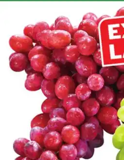 Food Basics RED SEEDLESS GRAPES offer