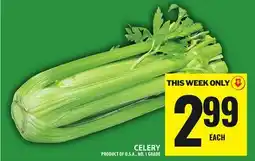 Food Basics CELERY offer
