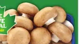 Food Basics WHOLE WHITE OR CREMINI MUSHROOMS offer