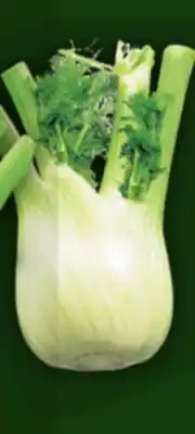 Food Basics ANISE FENNEL offer