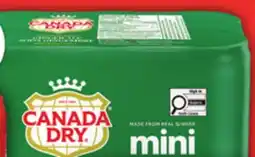 Food Basics COCA-COLA OR CANADA DRY GINGER ALE MINI CANS offer