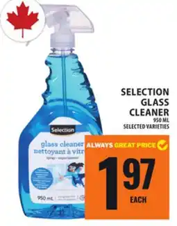 Food Basics SELECTION GLASS CLEANER offer