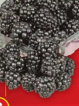 Food Basics BLACKBERRIES OR ORGANIC BLACKBERRIES offer