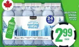 Food Basics SELECTION SPRING WATER offer