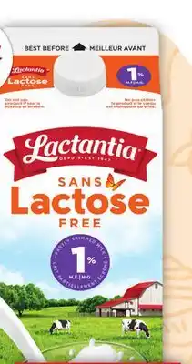 Food Basics LACTANTIA LACTOSE FREE MILK offer