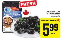 Food Basics CANADIAN COVE BLUE MUSSELS offer
