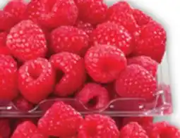 Food Basics BLUEBERRIES OR RASPBERRIES offer