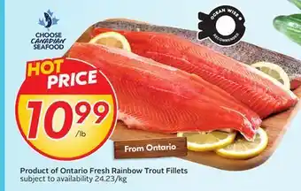 Sobeys Product of Ontario Fresh Rainbow Trout Fillets offer