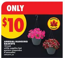 No Frills ANNUAL HANGING BASKETS, 10 inch offer