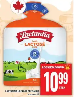 Food Basics LACTANTIA LACTOSE FREE MILK offer