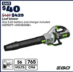 RONA Leaf blower offer