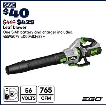 RONA Leaf blower offer