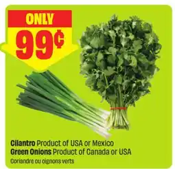 FreshCo Cilantro Product of USA or Mexico Green Onions Product of Canada or USA offer