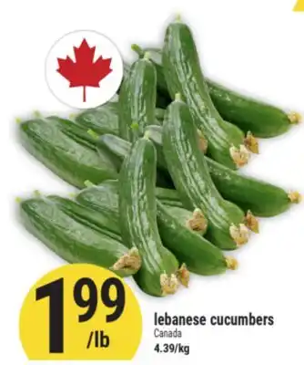 Marché Adonis lebanese cucumbers offer