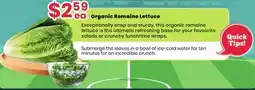 Healthy Planet Organic Romaine Lettuce offer