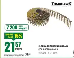 BMR CLOUS À TOITURE EN ROULEAUX offer