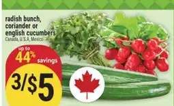 Marché Adonis radish bunch, coriander or english cucumbers offer