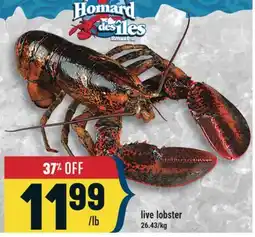 Marché Adonis live lobster offer