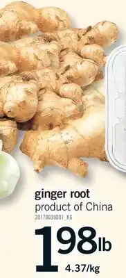 Fortinos GINGER ROOT offer