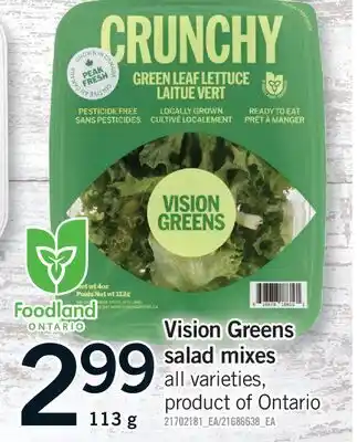 Fortinos VISION GREENS SALAD MIXES offer