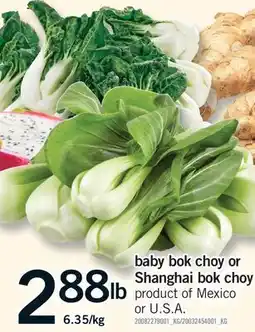 Fortinos BABY BOK CHOY OR SHANGHAI BOK CHOY offer