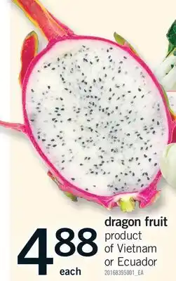 Fortinos DRAGON FRUIT offer