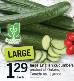 Fortinos LARGE ENGLISH CUCUMBERS offer