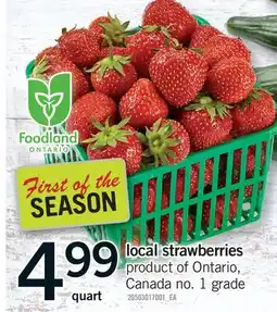 Fortinos LOCAL STRAWBERRIES, QUART offer