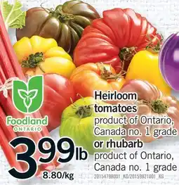 Fortinos HEIRLOOM TOMATOES OR RHUBARB offer