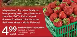 Fortinos FRESH ONTARIO STRAWBERRIES offer