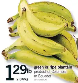 Fortinos GREEN OR RIPE PLANTAIN offer