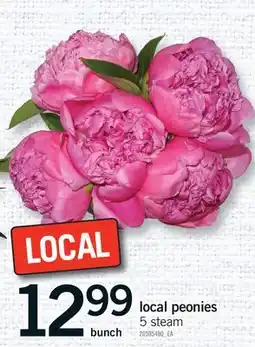Fortinos LOCAL PEONIES, 5 STEAM BUNCH offer