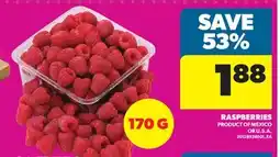 Real Canadian Superstore RASPBERRIES offer