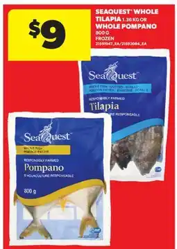 Real Canadian Superstore SEAQUEST WHOLE TILAPIA 1.36 KG OR WHOLE POMPANO 800 G offer