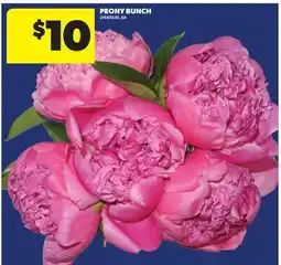 Real Canadian Superstore PEONY BUNCH offer
